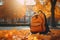 Orange school backpack in autumnal park. Generate ai