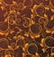 Orange seamless flower pattern in brown background