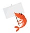 Orange shrimp is holding white space sign