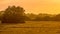 Orange sillhouette sunset over grassland river valley