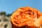 Orange sleeping bag on blurred background.