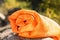 Orange sleeping bag on rock outdoors.