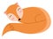 An orange sleeping fox vector or color illustration