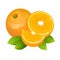 Orange slice fruit icon vector set. Realistic juicy orange with leaves