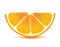 Orange slice. Juicy citrus illustration.