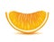 Orange slice. Juicy citrus illustration.