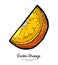 Orange slice vector isolated. Cut chopped orange, slice, lemon slice. Fruit citrus piece, half round section, hand drawn