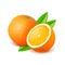 Orange and slice on white vector