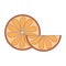 Orange slices fruits isolated cartoon