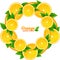 Orange slices with leaves vector round frame