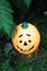 Orange smiling Halloween character face pumpkin