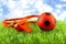 Orange soccer ball and flute on grass