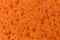 Orange sponge texture