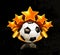 Orange sports emblem, football