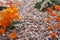 Orange Star Flowers with Pot Gravel in Nature Morning Light