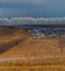 Orange steppe in the snow, hoarfrost.