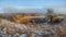 Orange steppe in the snow, hoarfrost.