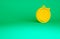 Orange Stopwatch icon isolated on green background. Time timer sign. Chronometer sign. Minimalism concept. 3d