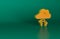Orange Storm icon isolated on green background. Cloud and lightning sign. Weather icon of storm. Minimalism concept. 3D