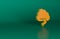 Orange Storm icon isolated on green background. Cloud and lightning sign. Weather icon of storm. Minimalism concept. 3D