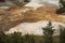 Orange streams of geothermal deposits, with pine trees, Yellowstone Park.