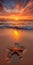 Orange Sunrise: Fine Art Photography Of Starfish And Sunset At The Beach