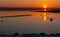 Orange sunrise over the lower reaches of the Tiligul estuary, birds on the water, Ukraine