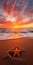 Orange Sunrise Star: Fine Art Photography Of A Sunset Beach With Starfish