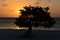 Orange Sunset in Aruba on Eagle Beach