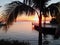 orange sunset beautiful view panorama palm tree blue sea with cloud sky of tropical beach