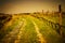 Orange sunset on dirt tracks