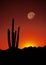 Orange Sunset Full Moon over Saguaro Cactus