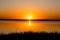 Orange sunset on the lake. The sun sets on the horizon. Grass silhouette