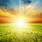 Orange sunset over green agriculture field