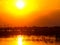 Orange sunset sky reflecting on the water of the Zambezi River