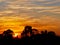 Orange Sunset with Tree Silhouette: Western Australia