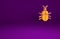 Orange System bug concept icon isolated on purple background. Code bug concept. Bug in the system. Bug searching