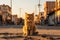 an orange tabby cat sits on the ground in an empty street