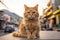 an orange tabby cat sitting on the edge of a table