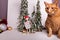 Orange tabby cat wintery Christmas scene jointed manikin holding Merry Christmas scene