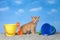 Orange tabby kitten in sand with buckets at the beach