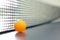 Orange table tennis ball