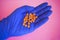 Orange tablet on medic hand with blue latex gloves on a pink background.