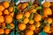 Orange tangerine fruits in harvest in a row baskets