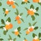 Orange tangerine mandarin clementine green leaves seamless pattern on green blue background. Organic bio healthy food.