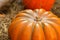 Orange tasty ribbed pumpkin orange closeup symmetrical vegetable autumn harvest design rustic