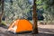 Orange tent at the campsite surrounding by nature on the river bank