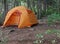 Orange Tent in a Forest