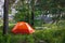 Orange tent and sea kayak on an island in the forest. The background is blurred