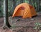 Orange Tent in the Woods
